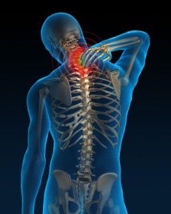 The Spine Whisperer_Chiropractic treatment